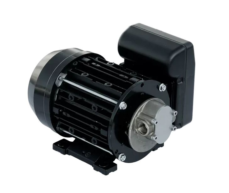 Garda 220 Volt Dişli Sıvı Transfer pompası - 2