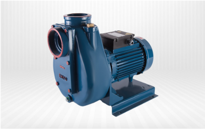 Kendinden Emişli Klapeli (Dur Tipi) Pompalar EPD SERİSİ K 200 - 1