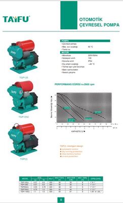 TGP125(I) Otomatik Çevresel Pompa