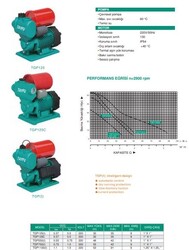 TGP125(I) Otomatik Çevresel Pompa - 3