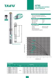 4STM2-5 Paslanmaz Çelik Gövdeli Dalgıç Pompa - 4