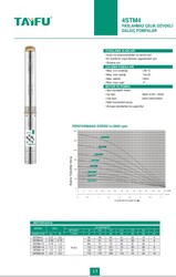4STM4-6 Paslanmaz Çelik Gövdeli Dalgıç Pompalar - 4