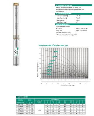 4STM4-6 Paslanmaz Çelik Gövdeli Dalgıç Pompalar