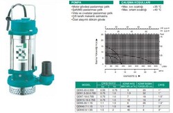 QDX3-20-0.55S Şamandıralı Paslanmaz Çelik Gövdeli Temiz Su Dalgıç Pompası - 2